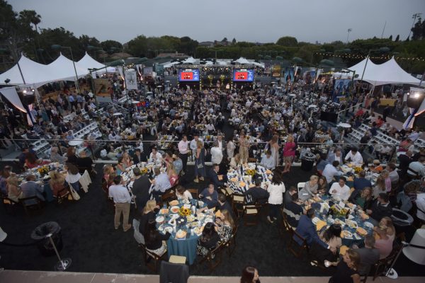 23rd Wine Auction (2017)